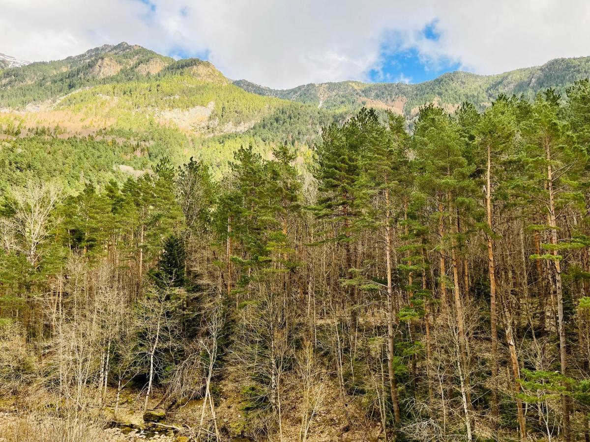 El Refugio De La Ardilla, Apartamento Canfranc-Estacion Exteriér fotografie